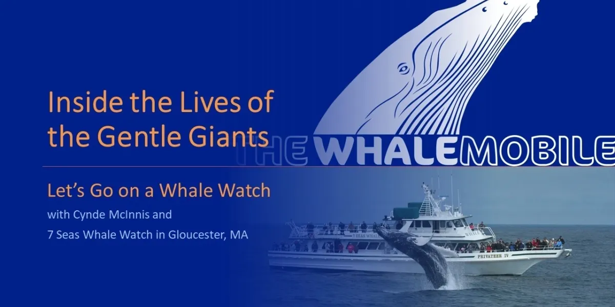 Week 2: Going on a Whale Watch