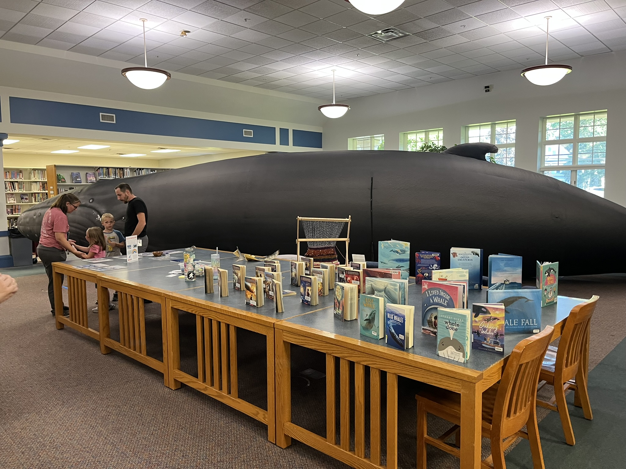 Summer Library Tour