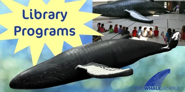 Educational Program