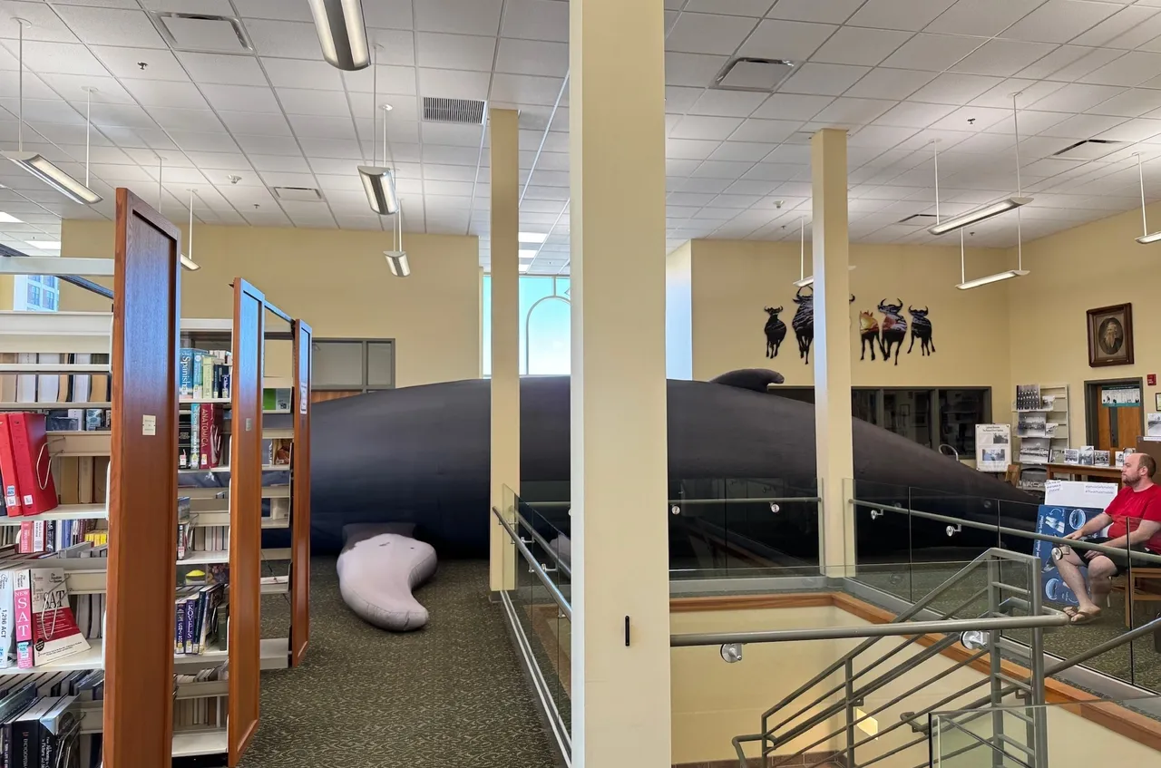 Gallery image 7