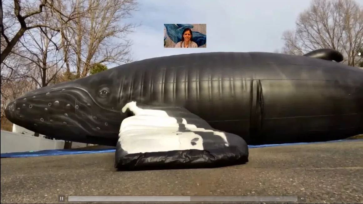 Virtual Whalemobile program