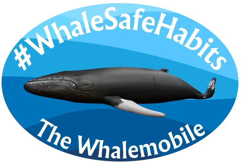 #WhaleSafeHabits campaign badge featuring a humpback whale and The Whalemobile logo