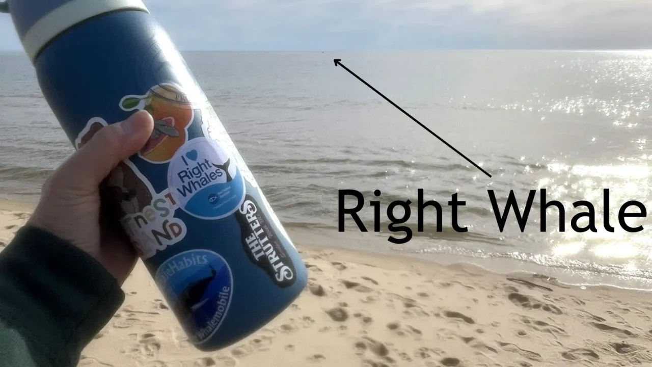 A reusable water bottle with a Right Whale sticker held up against the beach and ocean