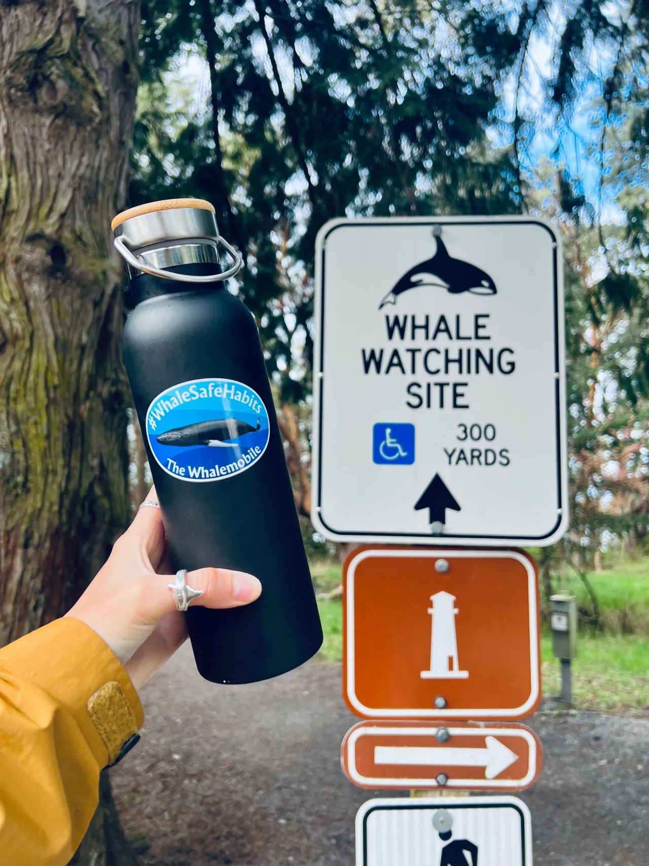 A WhaleSafeHabits sticker on a bottle near a whale watching site sign