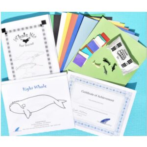 Whale STEAM Activity Kit for Kids Ages 8–13