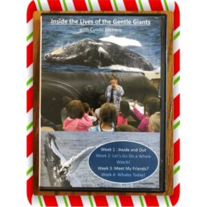 Whale Education Video Series – 4-Part Gentle Giants