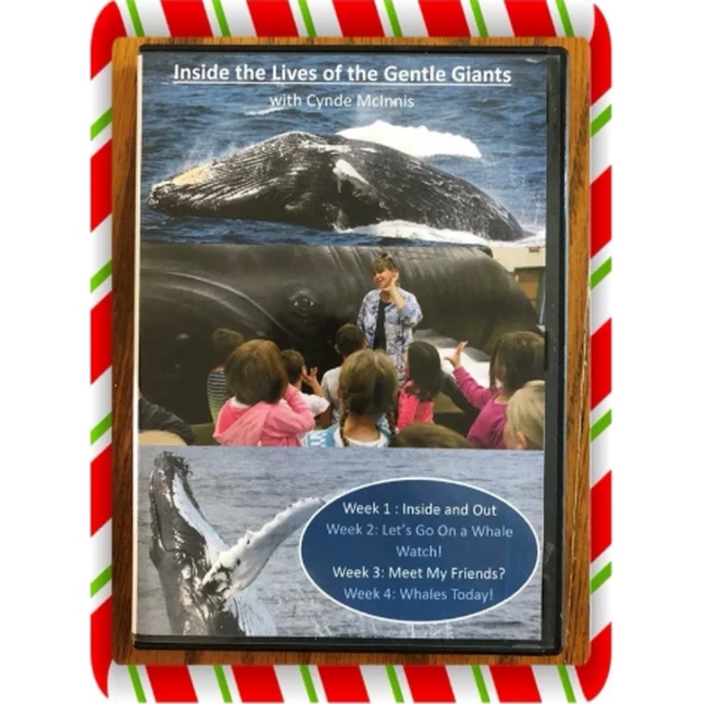 Whale Education Video Series – 4-Part Gentle Giants