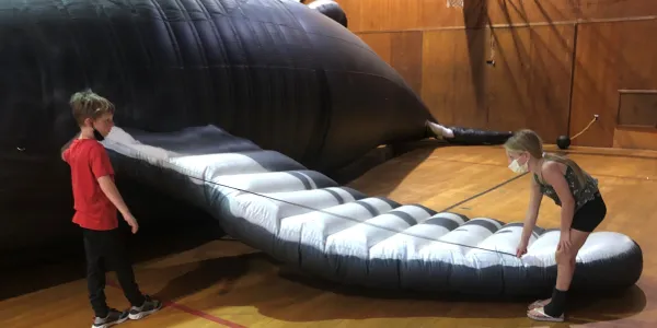 Students measuring the life-sized inflatable whales in the gym