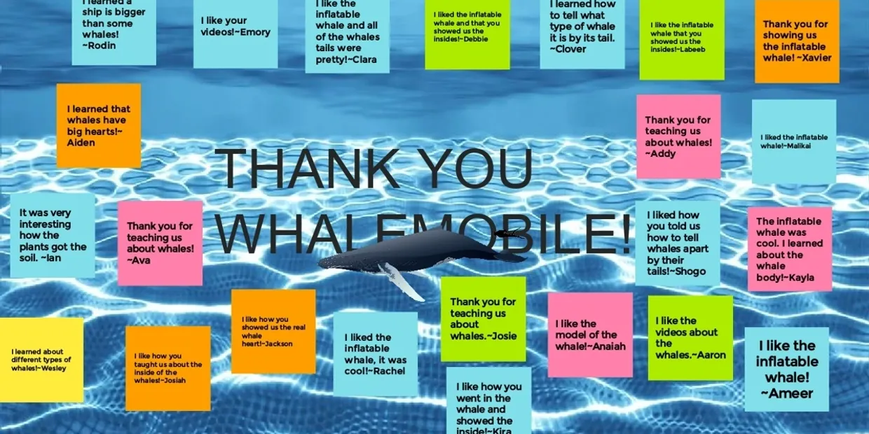 Wall of thank-you notes from students, Thank You Whalemobile