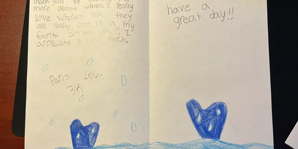 Student journal entry about whales, hand-drawn whale tails