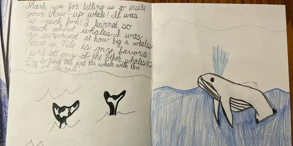 Student journal entry about whales, hand-drawn whale swimming
