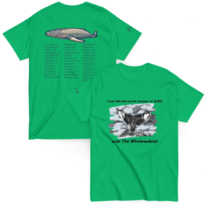 2025 Summer Tour Shirt – Multiple Colors