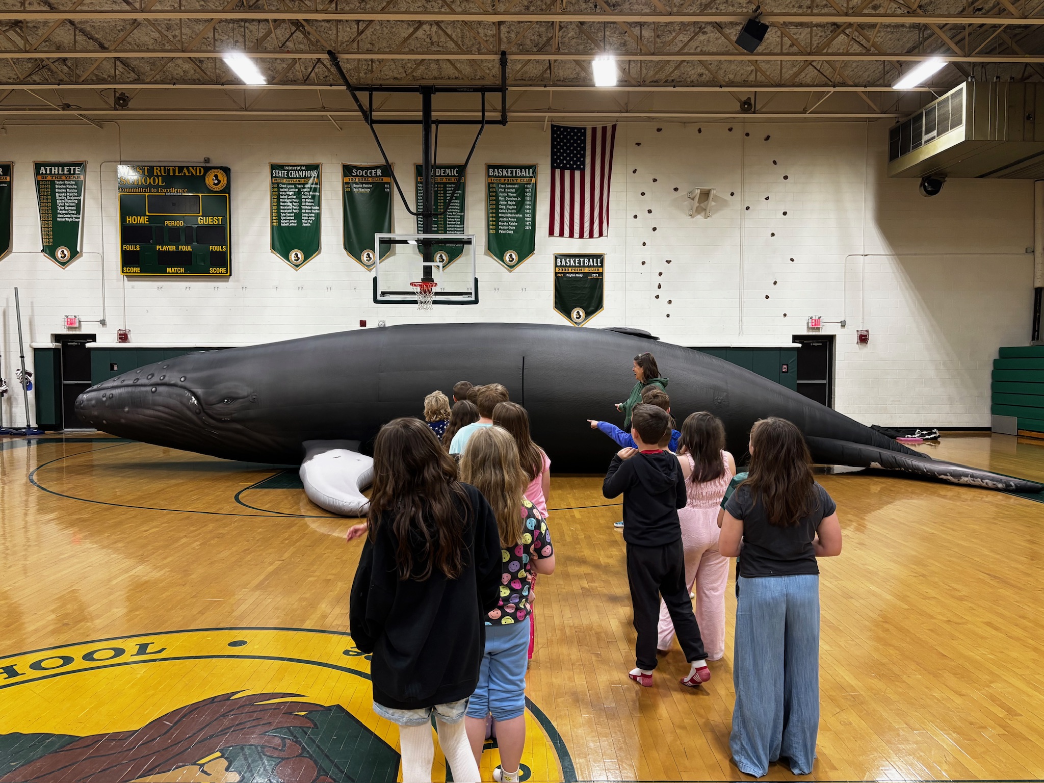Whalemobile school experience