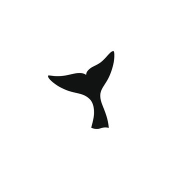 Whale Tail